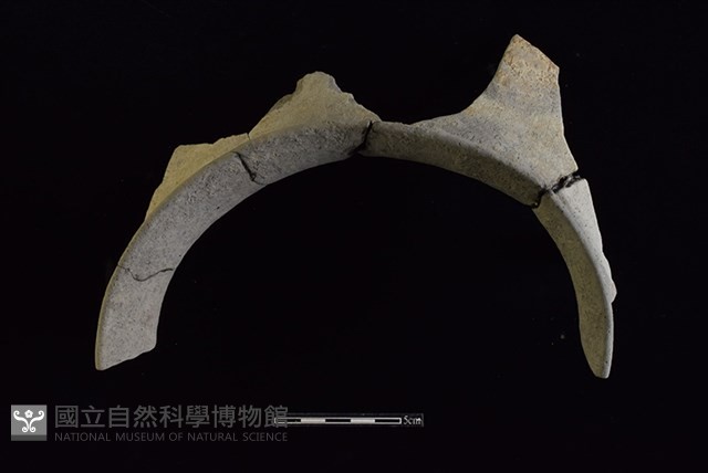 陶罐藏品圖，第2張