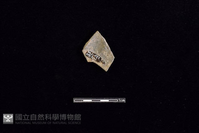 陶片藏品圖，第2張