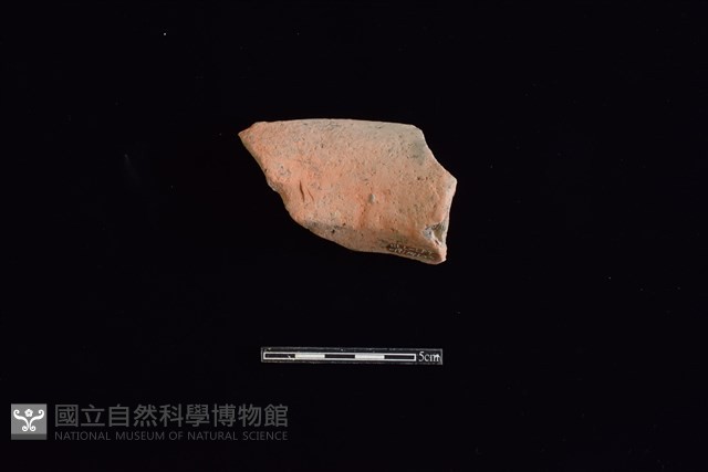 陶罐藏品圖，第2張