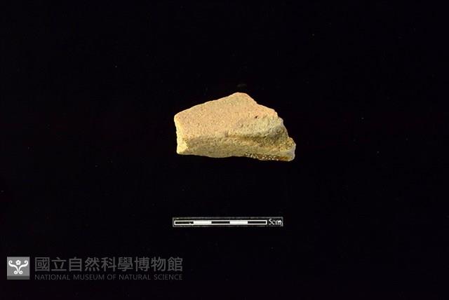 陶罐藏品圖，第2張