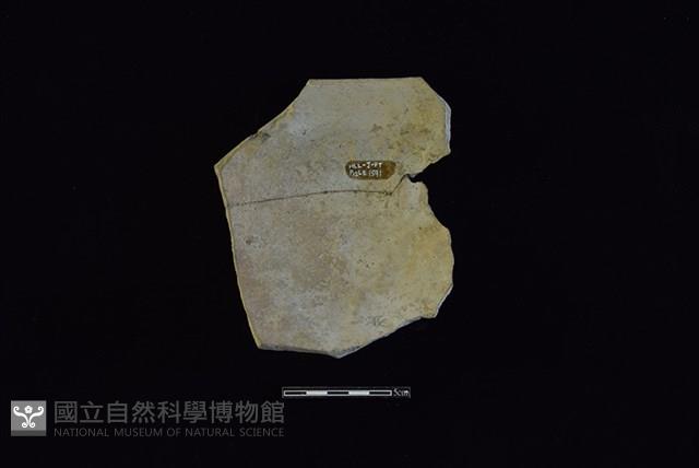 陶罐藏品圖，第2張