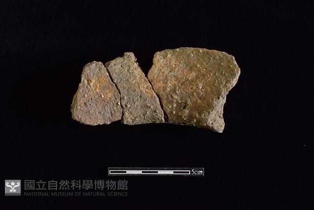 陶罐藏品圖，第2張