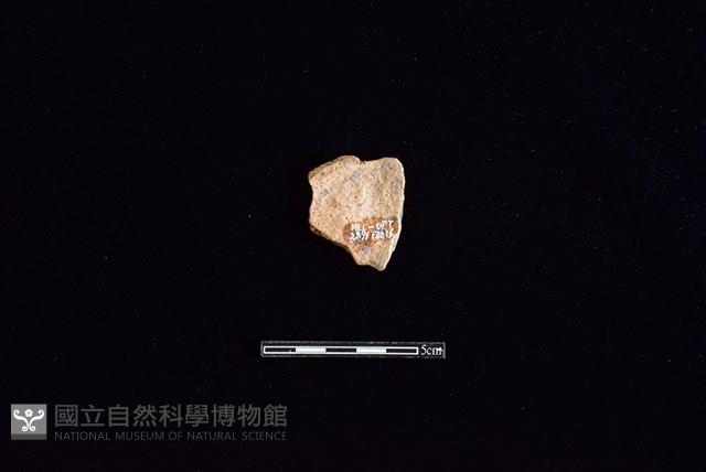 陶片藏品圖，第2張