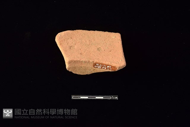 陶罐藏品圖，第2張