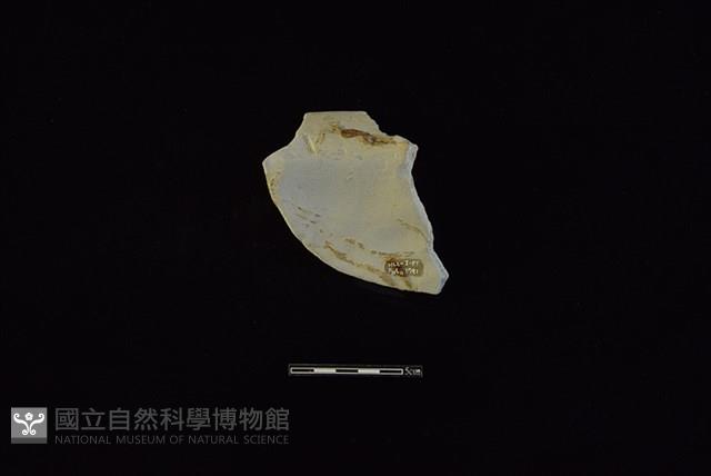 陶罐藏品圖，第2張