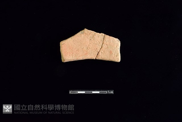 連杯形器藏品圖，第2張