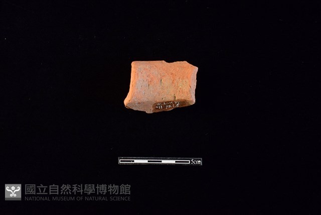 陶片藏品圖，第2張