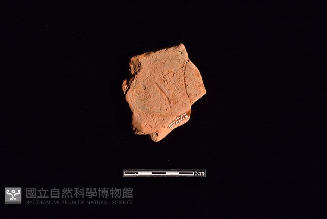 連杯形器藏品圖，第2張
