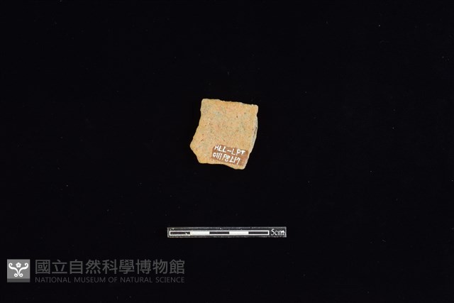 陶片藏品圖，第2張