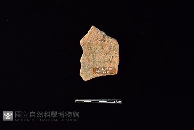 陶片藏品圖，第2張