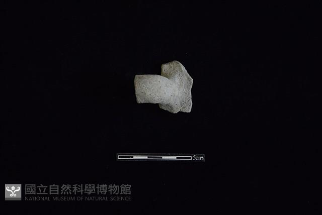 陶把藏品圖，第2張