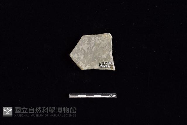 陶片藏品圖，第2張