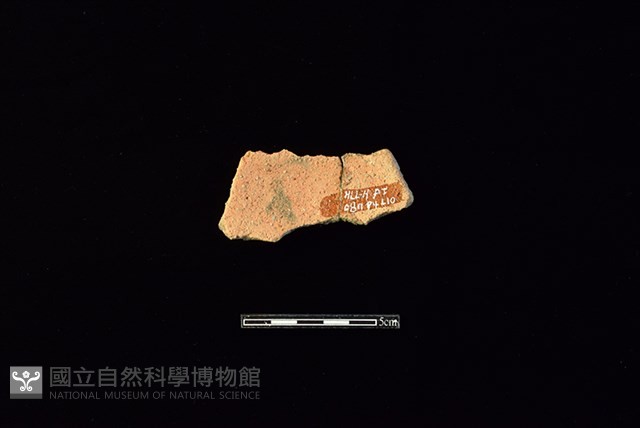 陶片藏品圖，第2張