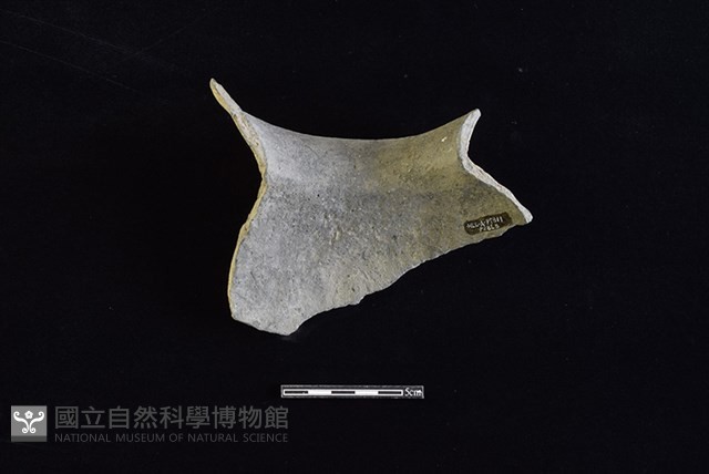 陶罐藏品圖，第2張