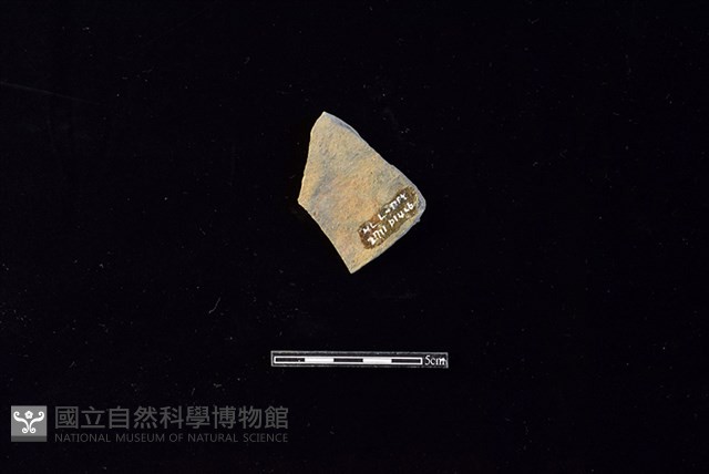 陶片藏品圖，第2張
