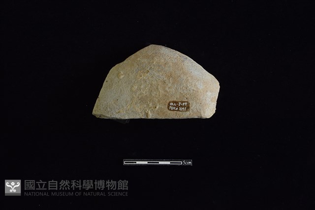 陶蓋鈕藏品圖，第2張