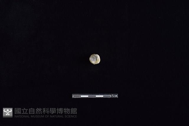 陶把藏品圖，第2張