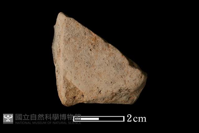 陶片藏品圖，第2張