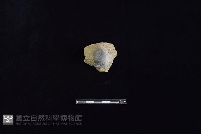 陶片藏品圖，第2張