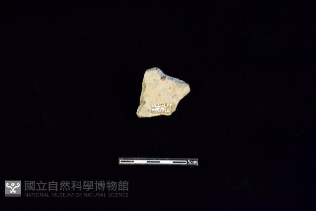 陶片藏品圖，第2張