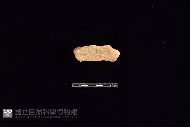 陶片藏品圖，第2張