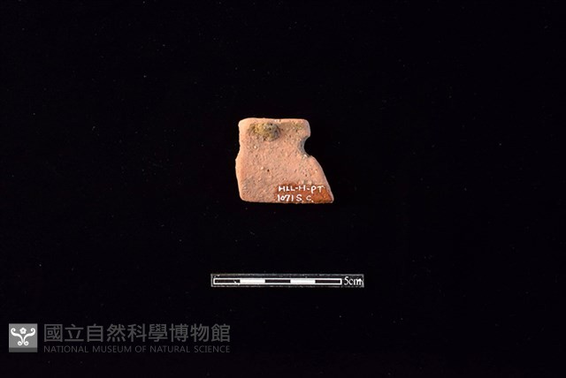 陶片藏品圖，第2張