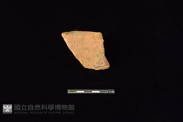 陶片藏品圖，第2張