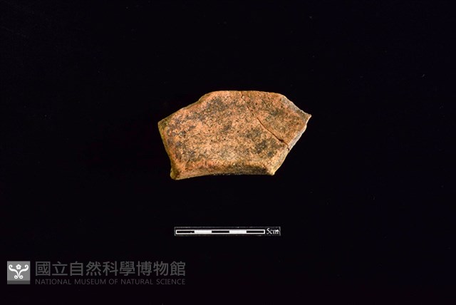 陶罐藏品圖，第2張