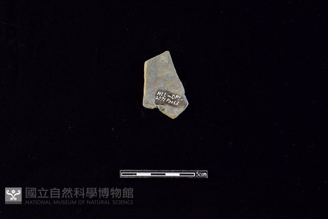 陶片藏品圖，第2張