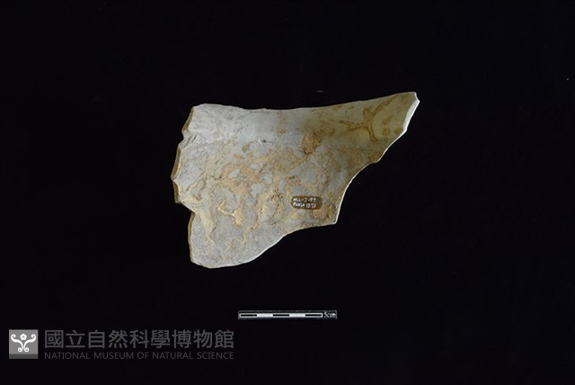 陶罐藏品圖，第2張
