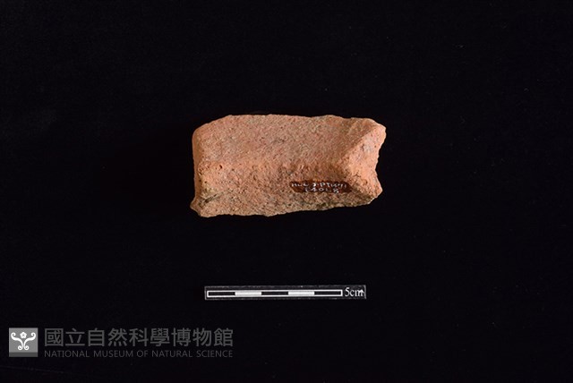 陶罐藏品圖，第2張
