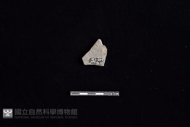 陶片藏品圖，第2張