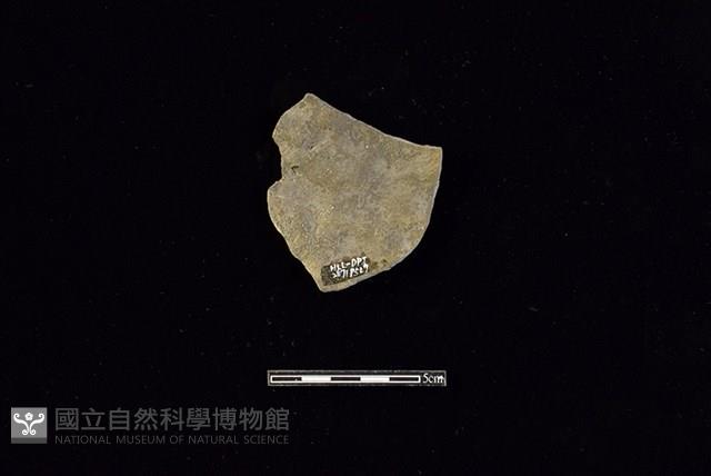 陶片藏品圖，第2張