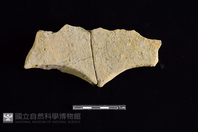 連杯形器藏品圖，第2張