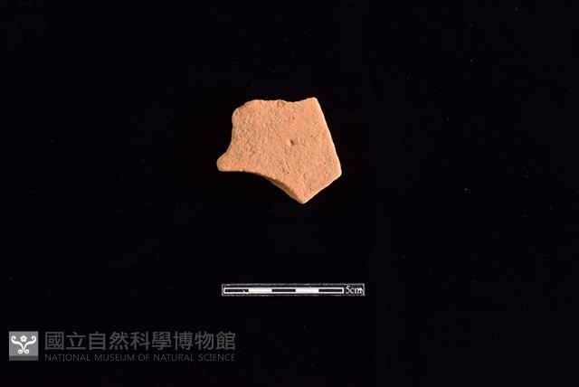 連杯形器藏品圖，第2張