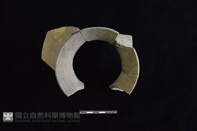 Accession Number:HLL-J PT1771 Collection Image, Figure 2, Total 2 Figures