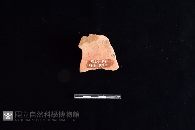 陶片藏品圖，第2張