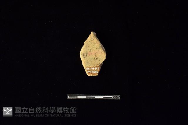 陶片藏品圖，第2張