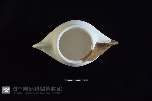 陶罐藏品圖，第2張