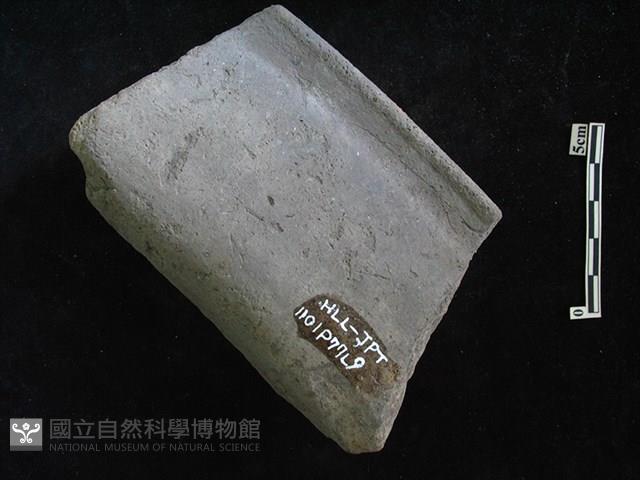 陶片藏品圖，第2張