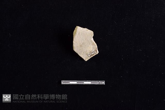 陶罐藏品圖，第2張