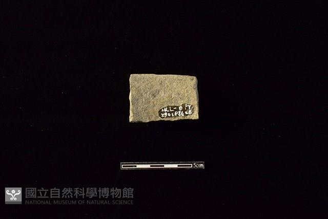 陶片藏品圖，第2張