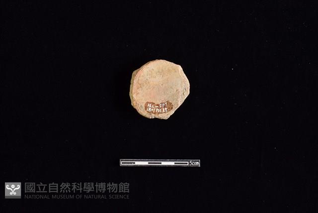 陶片藏品圖，第2張