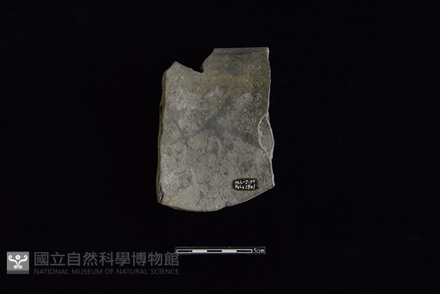 陶罐藏品圖，第2張