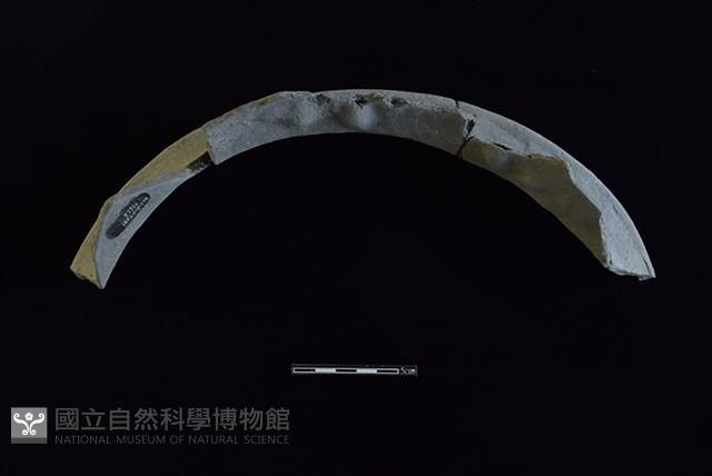 陶罐藏品圖，第2張