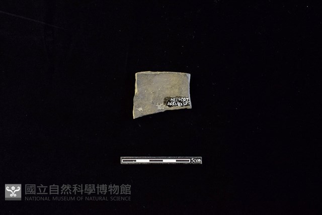 陶片藏品圖，第2張