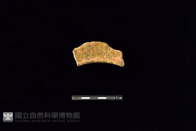 陶罐藏品圖，第2張