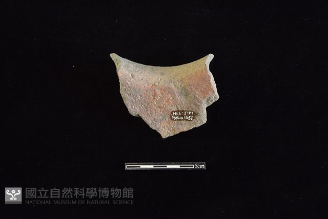陶罐藏品圖，第2張