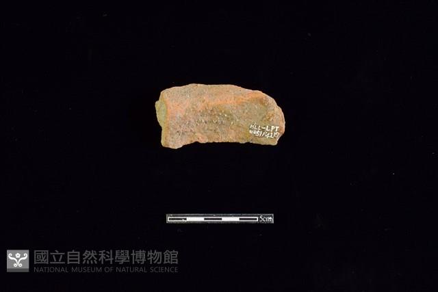 陶片藏品圖，第1張