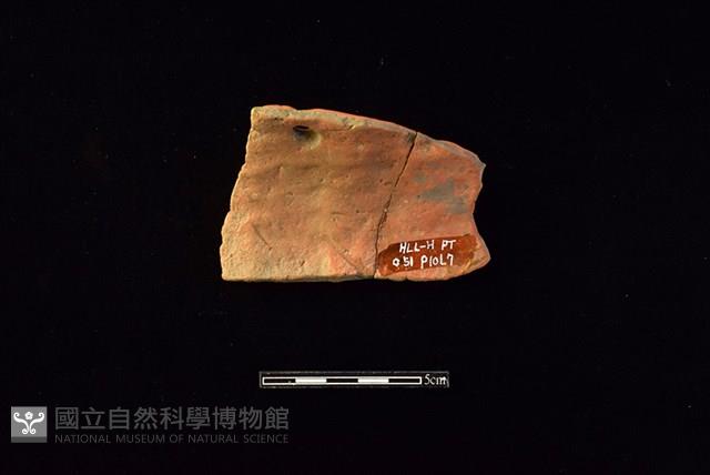 連杯形器藏品圖，第2張